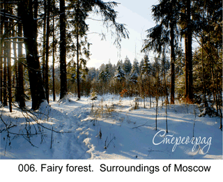 <b>006.</b> The Fantastic Forest. Surroundings of Moscow. (3D shooting : with step to step moving). 2007. 70x50 cm.<br>
Price - <b> 17500</b> roubles unframed 