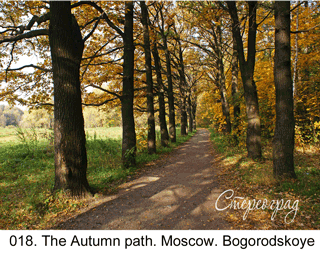 <b>018.</b> The Autumn path Moscow. Bogorodskoye (3D shooting : with step to step moving). 2009. 70x50 cm.<br>
 Price - <b> 17500</b> roubles unframed