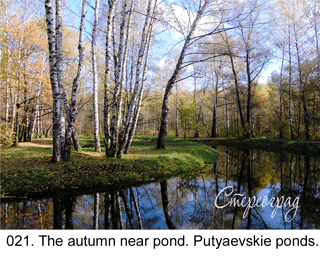 <b>021. </b>The autumn near pond. Putyaevskie ponds. Moscow (3D shooting : with step to step moving). 2009. 70x50 cm.<br>
 Price - <b>17500</b> roubles unframed