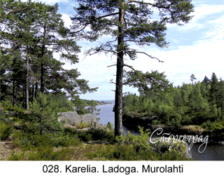 <b>028. </b>Karelia. Ladoga. Murolahti (3D shooting : with step to step moving). 2014. 70x50 cm.<br>
 Price - <b>17500</b> roubles unframed 