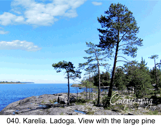 <b>040.  </b>Karelia. Ladoga. View with the large pine.  (3D shooting : with step to step moving). 2014. 70x50 cm.<br>
 Price - <b>17500</b> roubles unframed