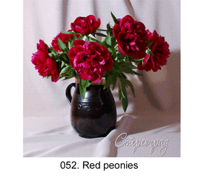 <b>052. </b> Red peonies. (3D shooting : with step to step moving). 2010. 57x57 cm.<br>
 Price - <b>15000</b> roubles unframed 