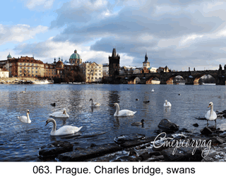 <b>063.</b> Prague. Charles bridge, swans. (2D-3D conversion, 2017). 70x50 cm.<br>
Price - <b> 17500</b> roubles unframed