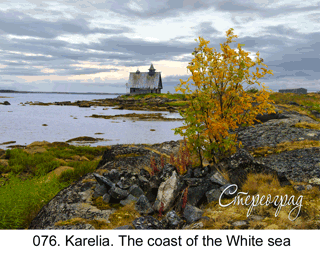 <b>076.</b>Karelia. Rabocheostrovsk. Kemj. Bereg of the White sea. Autumn. Evening. (2D-3D conversion, 2018. Photo 2007). 70x50 cm.<br>
Price - <b> 17500</b> roubles unframed 