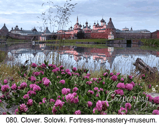 <b>080.</b> Clover. Solovki. Fortress-monastery-museum. (2D-3D conversion, 2019. Photo 2018). 70x50 cm.<br>
Price - <b> 20500</b> roubles unframed