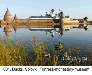 <b>081.</b> Ducks. Solovki. Fortress-monastery-museum. (2D-3D conversion, 2019. Photo 2018). 70x50 cm.<br>
Price - <b> 20500</b> roubles unframed